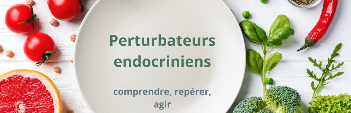 Image bannière de la formation Perturbateurs endocriniens : comment réduire l’exposition des élèves, de la terre à l’assiette ?