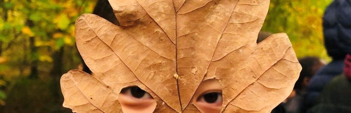 Image bannière de la formation La nature en partage : faire de l’accès au vivant un levier de justice sociale 