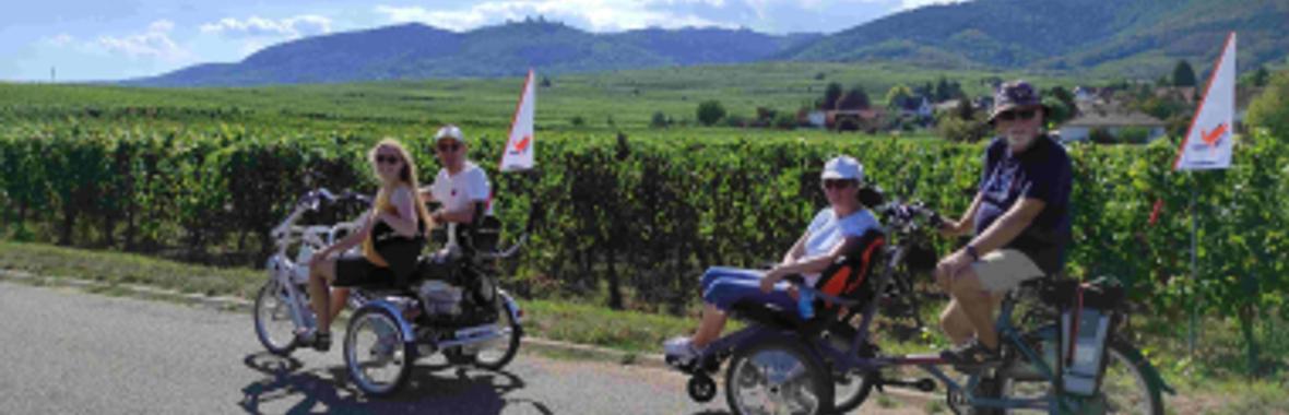 Image bannière de la formation Rendre le cyclotourisme accessible à toutes et tous - RETEX 