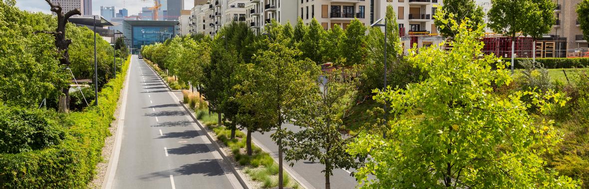 Image bannière de la formation Urbanisme favorable à la santé : des retours d'expérience pour agir dans les collectivités