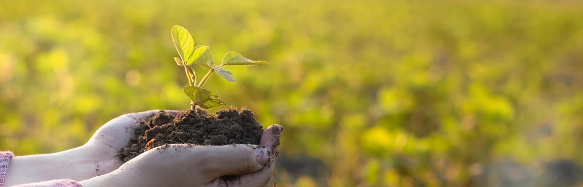 Image bannière de la formation Temps d'échanges : Eau et Alimentation : comment adapter nos pratiques et soutenir la production locale face aux crises estivales ?  