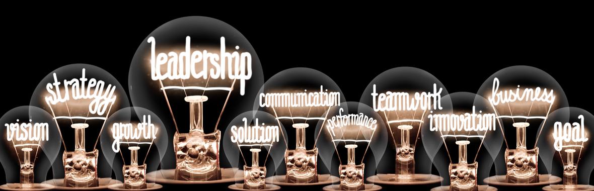 Image bannière de la formation Quel leadership face aux transitions ?