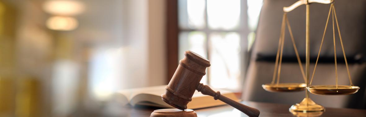 Image bannière de la formation Le droit des élus !  