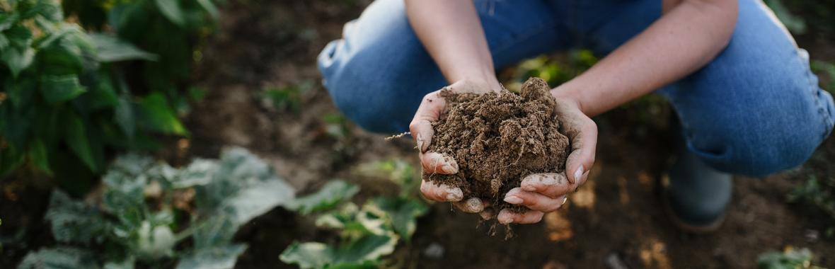 Image bannière de la formation Agricultures et Territoire 2050 — De la neutralité carbone nationale aux réalités agricoles locales