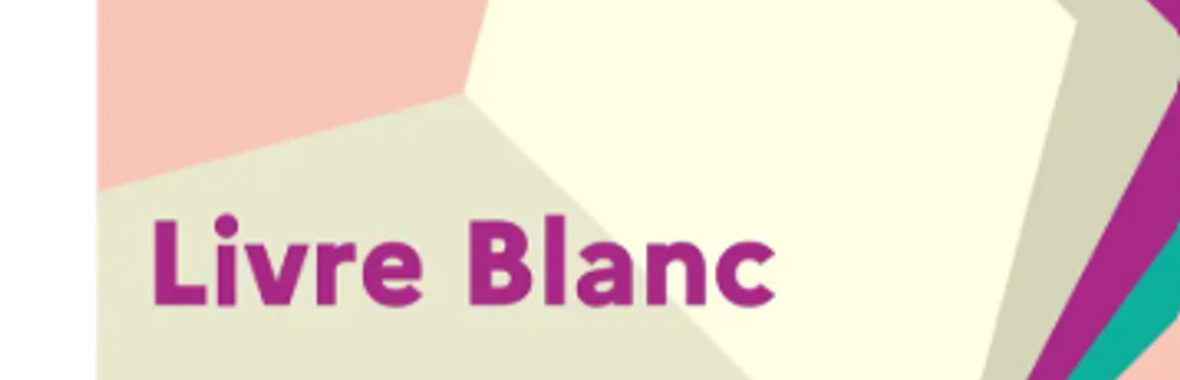 Image bannière de la formation Trois ans après la publication du Livre blanc du travail social : quelles perspectives ?