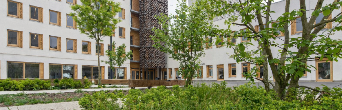 Image bannière de la formation REX ville de Paris - Restructuration pour un bâtiment frugal  : innovations bioclimatiques, matériaux biosourcés et réemploi en action 