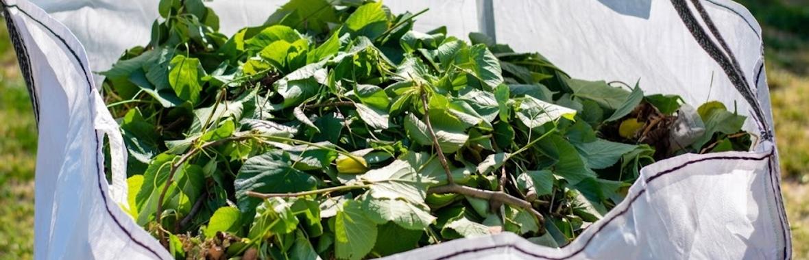 Image bannière de la formation Déchets végétaux : la prévention et la gestion de proximité des biodéchets pour réduire les coûts des déchèteries 