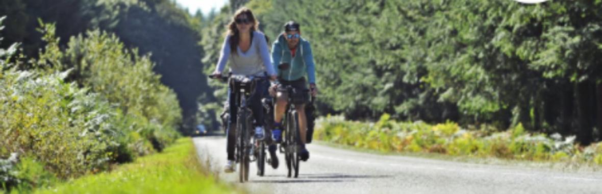 Image bannière de la formation Tous à bicyclette ! - REX de la CC Mont des Avaloirs