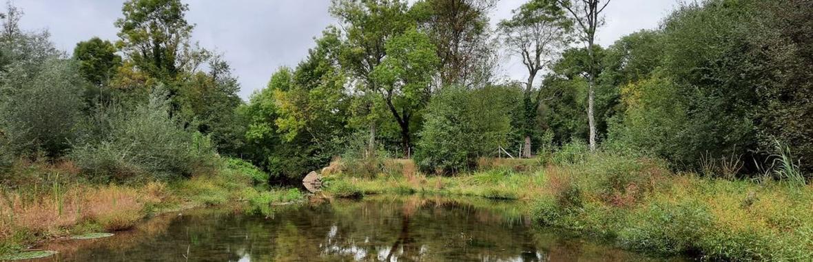 Image bannière de la formation Modélisation et continuité écologique : REX de la capitale française de la biodiversité 2021