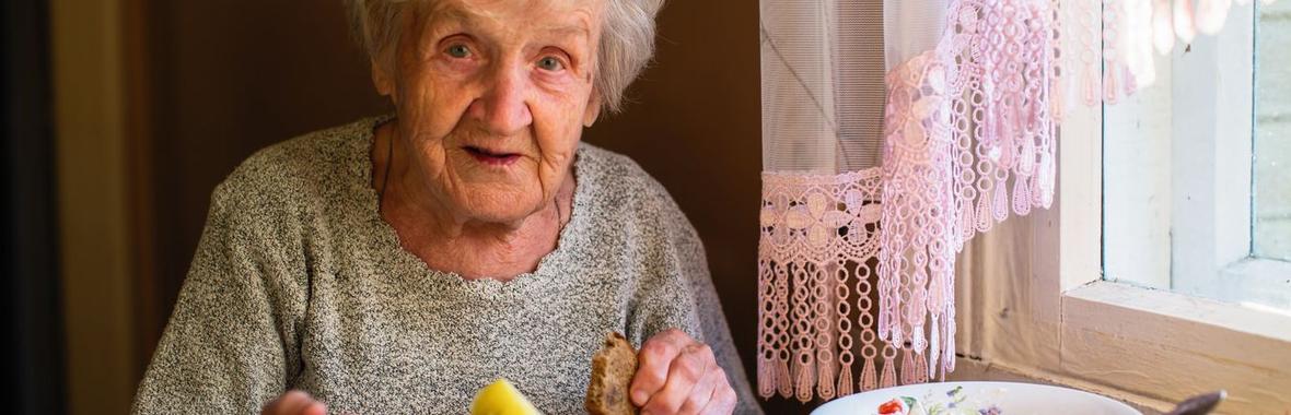 Image bannière de la formation La prise en charge à grande échelle de la dénutrition : l’exemple de CDIET