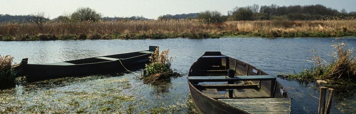 Image bannière de la formation Labelliser les milieux aquatiques : quelles conditions, quelles retombées ? 