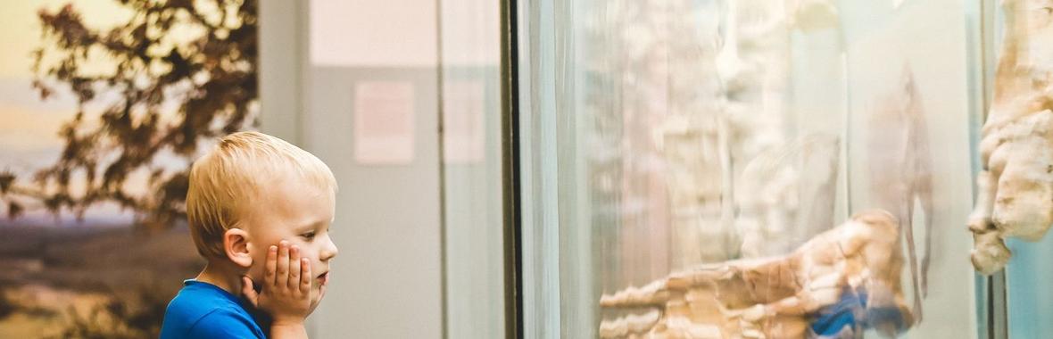 Image bannière de la formation « Les bébés au Musée » Médiation culturelle et artistique avec les jeunes enfants et les familles. Collaboration musées-professionnel/le/s de la petite enfance 