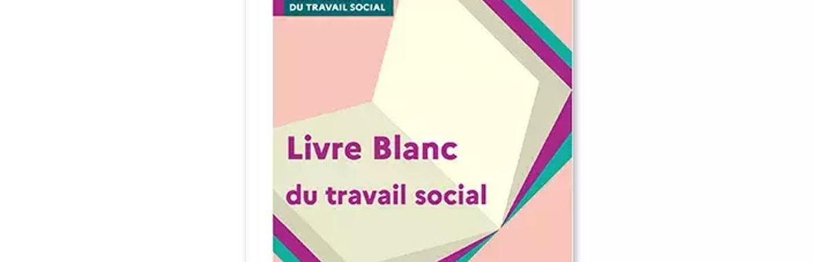 Image bannière de la formation Regards internationaux sur le Livre Blanc du travail social 