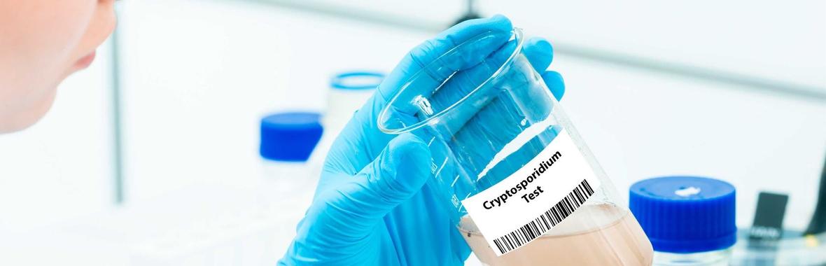 Image bannière de la formation Infection des réseaux au Cryptosporidium : quelles mesures face au parasite ?