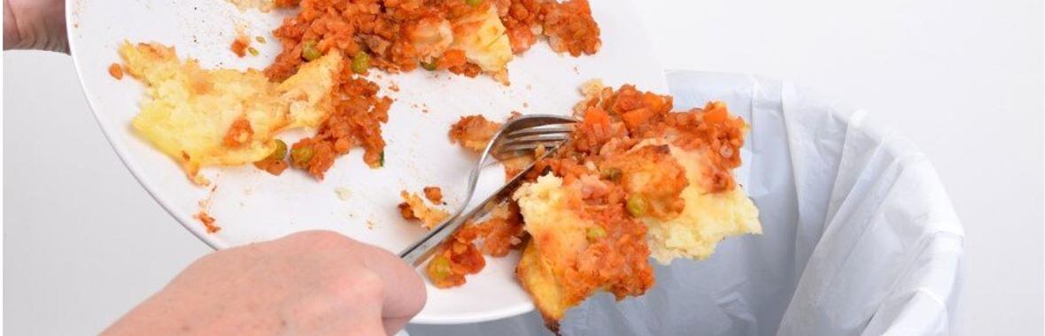 Image bannière de la formation Lutte contre le gaspillage alimentaire : solutions pratiques et retours d'expériences