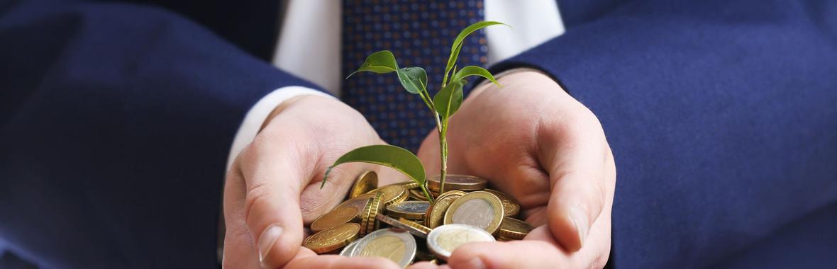 Image bannière de la formation Diversifier les ressources de la collectivité : le mécénat, entre opportunités et risques 