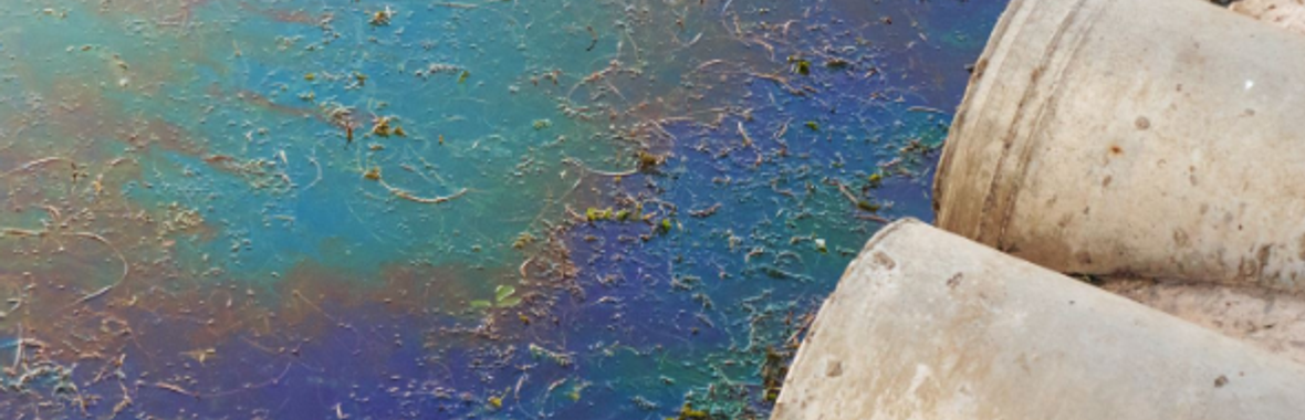 Image bannière de la formation Face aux PFAS et autres polluants, quelle(s) stratégie(s) pour assurer une eau potable ? 