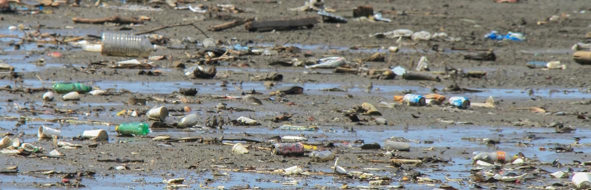 Image bannière de la formation Déchets post-inondation : anticiper pour mieux les gérer  