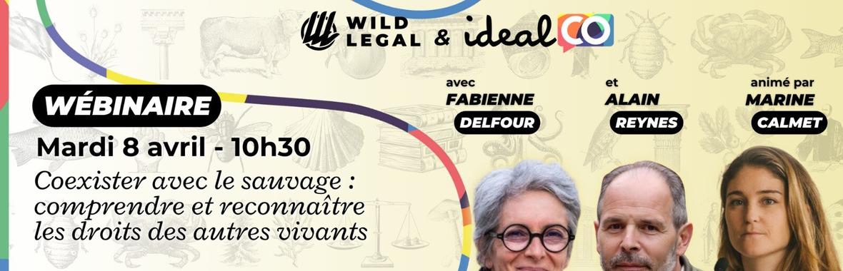 Image bannière de la formation [Cycle Droits Nature #7] Coexister avec le sauvage : comprendre et reconnaître les droits des autres vivants 