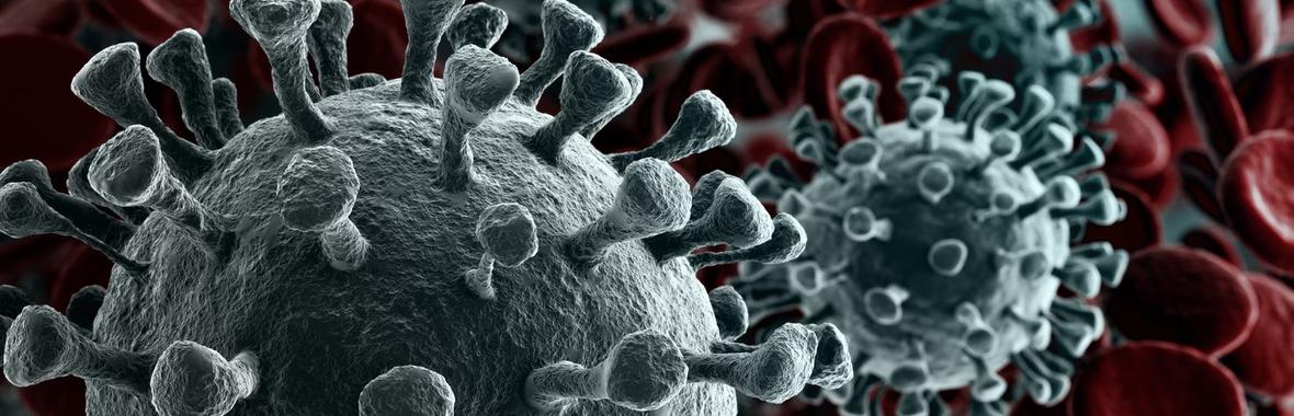 Image bannière de la formation Coronavirus : échangeons sur nos pratiques en matière de sport, de culture et de vie associative