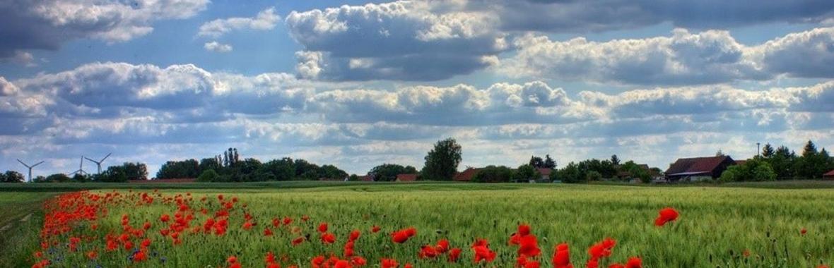 Image bannière de la formation Eau et pesticides : quels enjeux de connaissances pour agir en Bretagne ? - SSDP - #CGLE 2022 