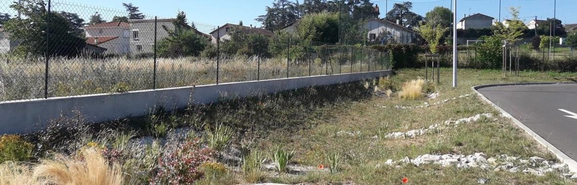 Image bannière de la formation Sensibiliser les acteurs de son territoire à la gestion intégrée des eaux pluviales