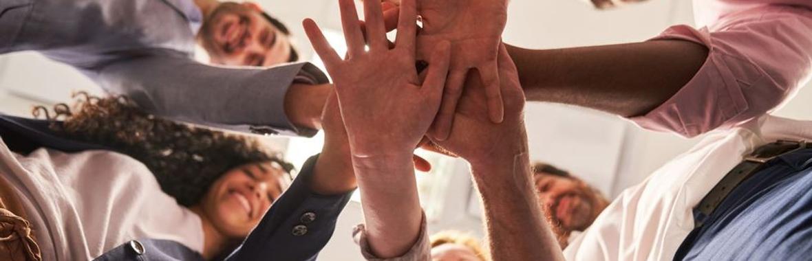 Image bannière de la formation De l’individu à la cohésion d’équipe : la puissance des valeurs communes