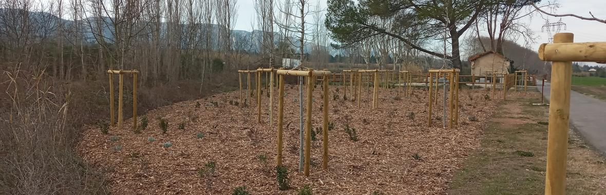 Image bannière de la formation Monter et utiliser un marché écologique de plantations routières 