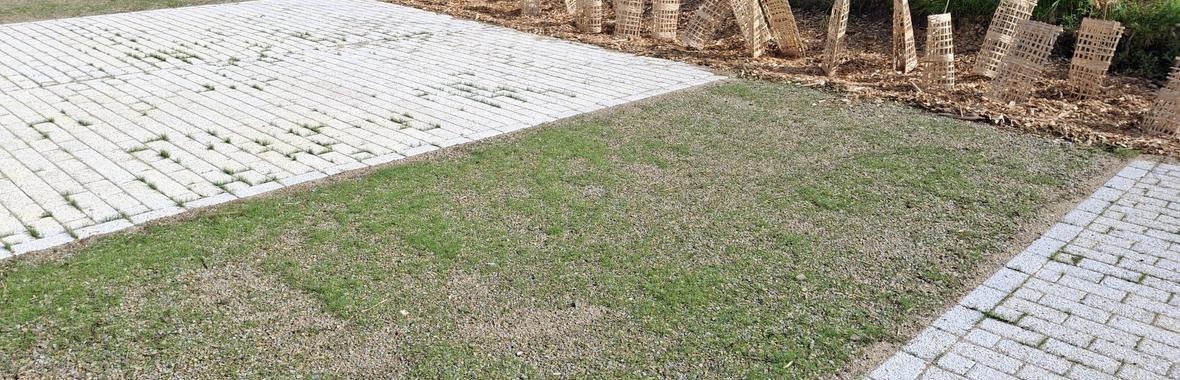 Image bannière de la formation Transformer un site existant : renaturation et gestion intégrée des eaux pluviales du site de l'Office international de l'Eau à Limoges