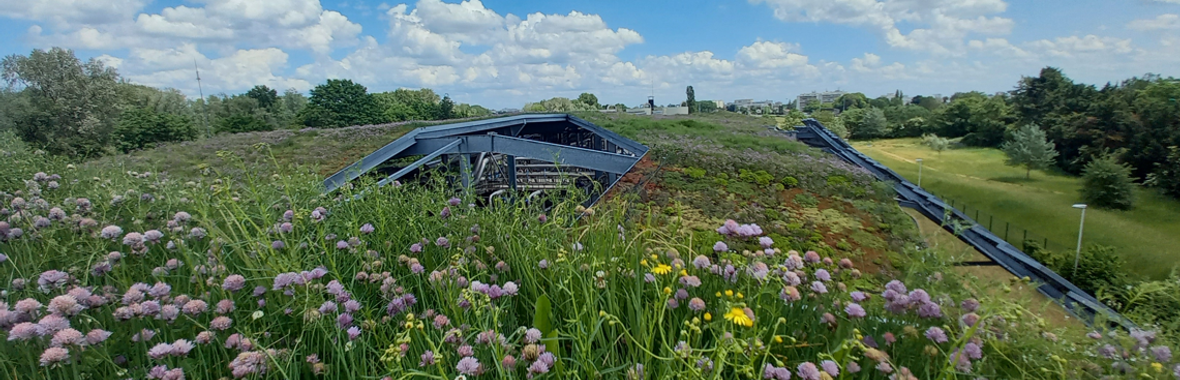 Image bannière de la formation Intégrer la végétalisation du bâti dans les documents d’urbanisme : guides et retours d’expérience