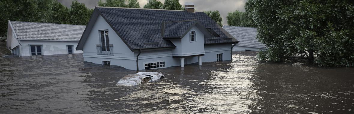 Image bannière de la formation Outils innovants de sensibilisation : Effets spéciaux, Réalité virtuelle, modélisation 3D 