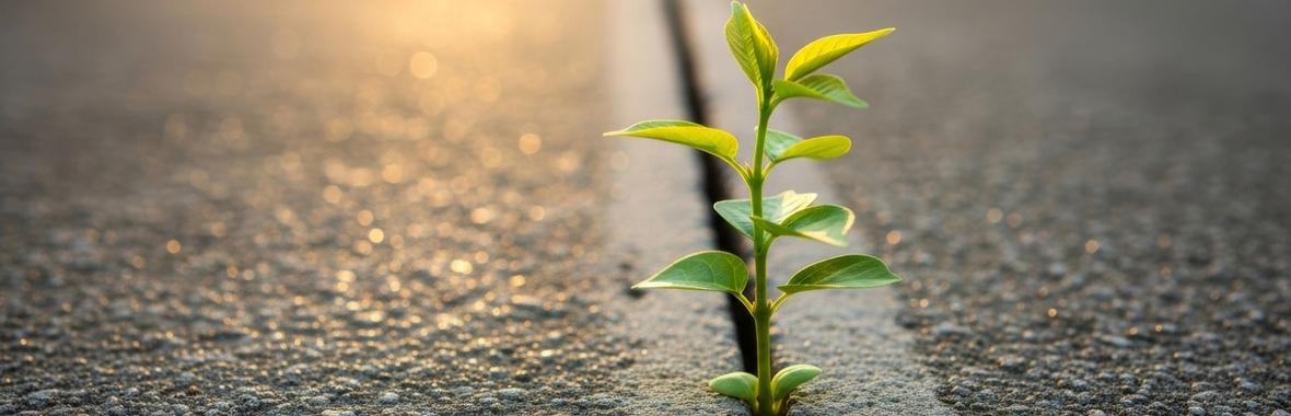 Image bannière de la formation Présentation du Projet National IDEE et état d’avancement de ses travaux