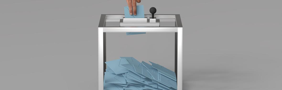 Image bannière de la formation L'installation des conseils municipaux ! 