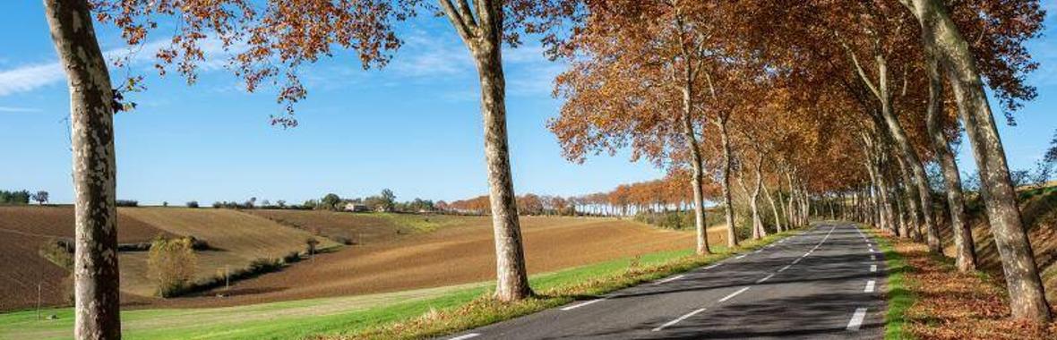 Image bannière de la formation Rédiger un cahier des charges pour des études liées aux milieux naturels (études d’impacts, états initiaux, prédiagnostics, DLE, DEP, EE diag avant abattage d’arbres…)