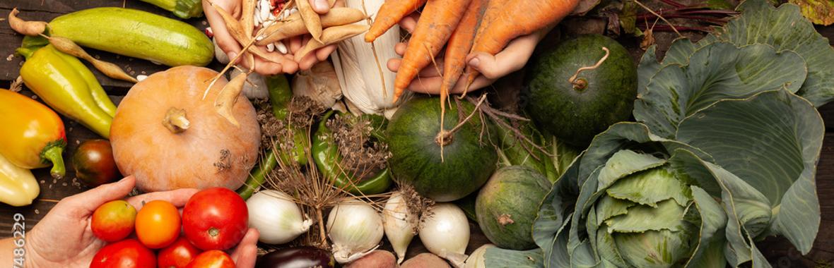 Image bannière de la formation Life Biodiv'Paysanne [Episode 2] : Un outil de diagnostic pour accompagner la transition agroécologique d’exploitations agricoles 