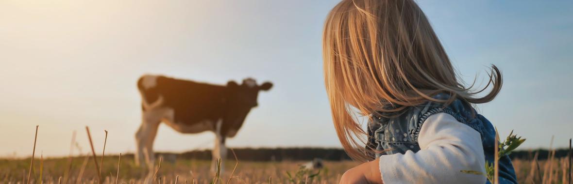 Image bannière de la formation La restauration scolaire équitable : comment intégrer la juste rémunération dans vos marchés publics 