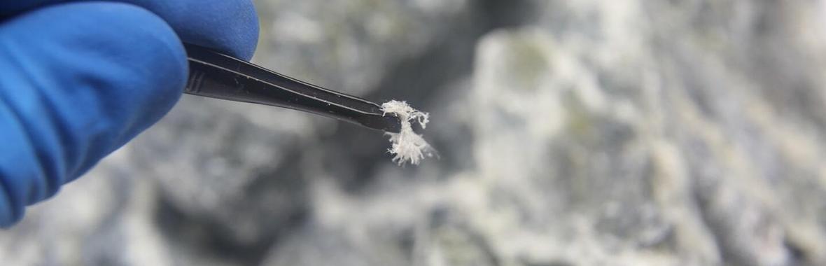 Image bannière de la formation Repérage de l'amiante naturel avant travaux : à quoi s'attendre ?