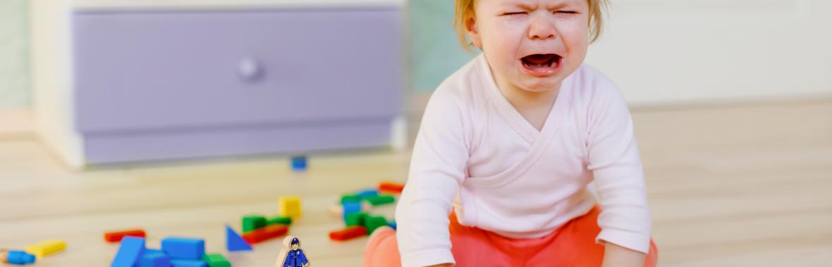 Image bannière de la formation « Ouin, Ouin », que disent les pleurs des bébés ?