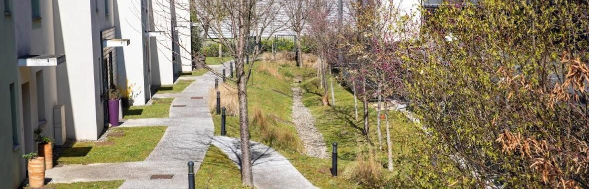 Image bannière de la formation Coordonner eaux pluviales et urbanisme, pour des territoires plus résilients 