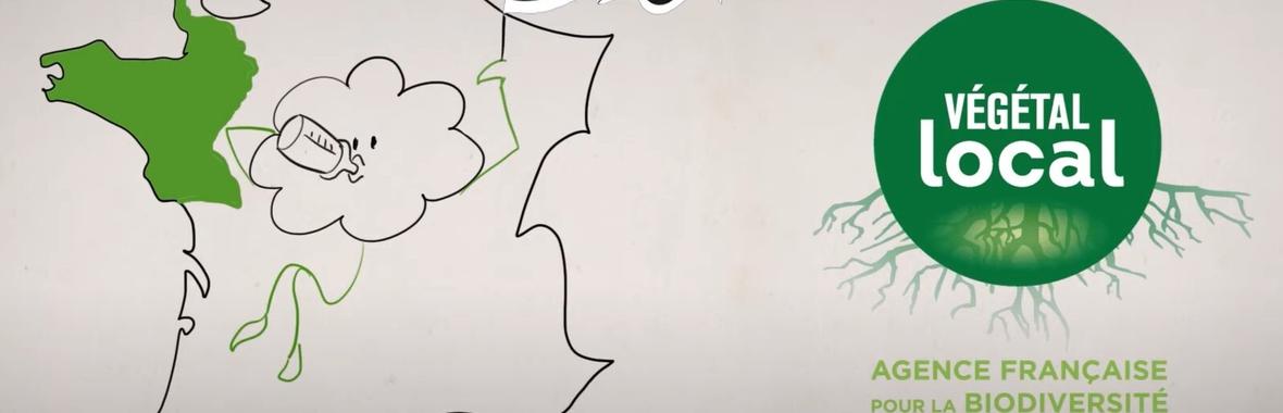 Image bannière de la formation Le label végétal local, moteur de durabilité et de biodiversité au cœur de vos aménagements