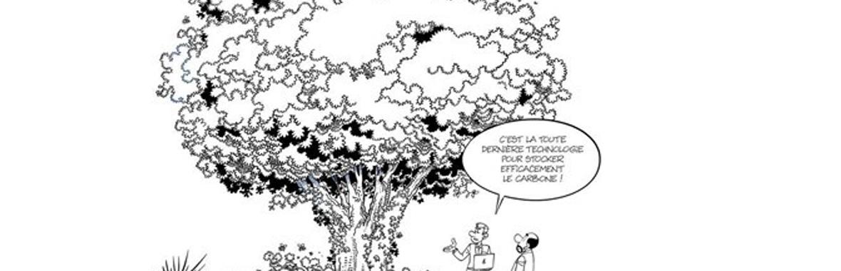 Image bannière de la formation Les chartes de l’arbre en France : état des lieux, enjeux et perspectives pour les territoires 