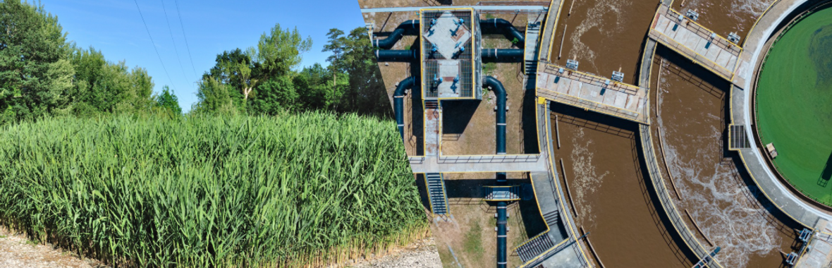 Image bannière de la formation Réinventons nos stations d'épuration : performance et faible impact environnemental
