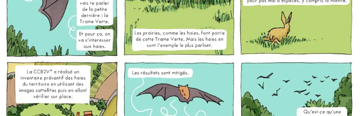 Image bannière de la formation Fédérer des communes rurales par une approche biodiversité : retour d'expérience de la CCB2V