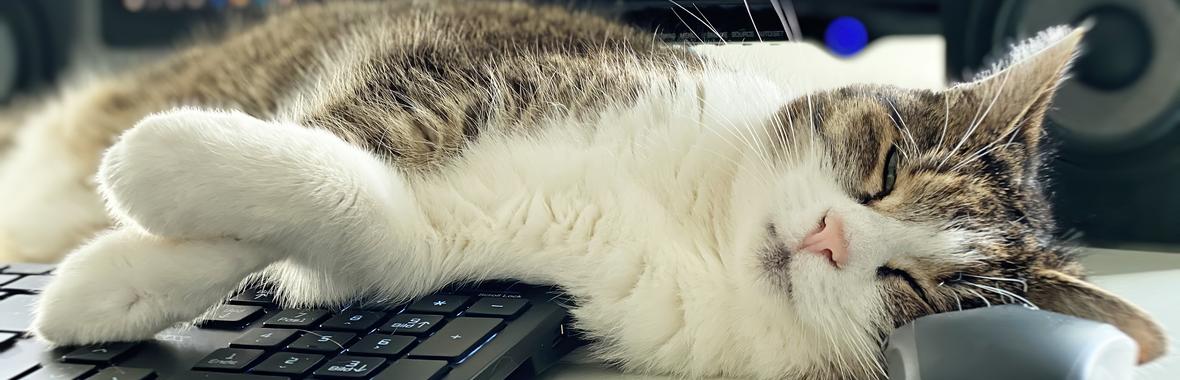 Image bannière de la formation 🥰Atelier de Sophrologie en distanciel : et si vous vous accordiez une vraie pause ? 