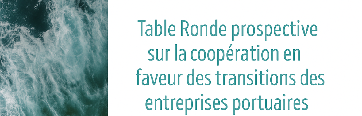 Image bannière de la formation Coopération portuaire : comment accélérer les transitions des entreprises (table ronde) 