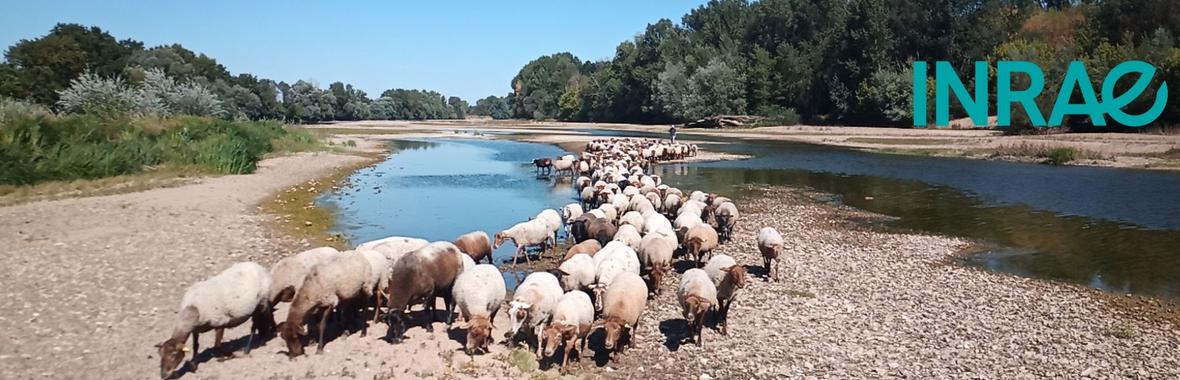 Image bannière de la formation Favoriser la biodiversité et renforcer les réseaux de services écosystémiques -Programme BIOSEFAIR