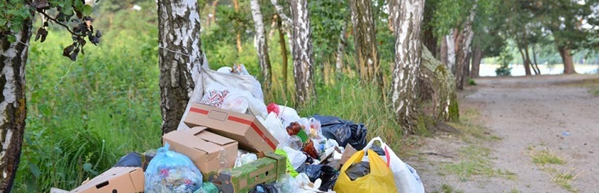 Image bannière de la formation CYCLE - Les sciences comportementales sont-elles vraiment utiles ? #3 : "Comment encourager les dépôts sauvages ?"