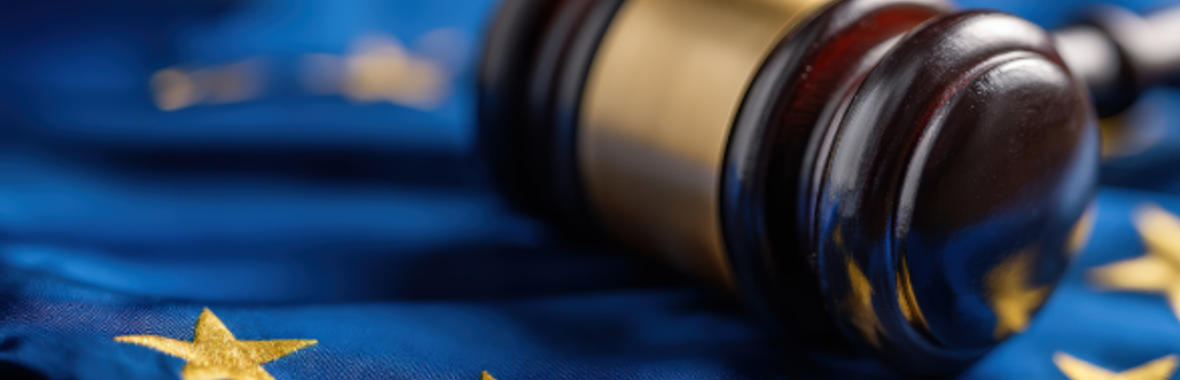 Image bannière de la formation DERU 2 : comprendre, anticiper et agir 