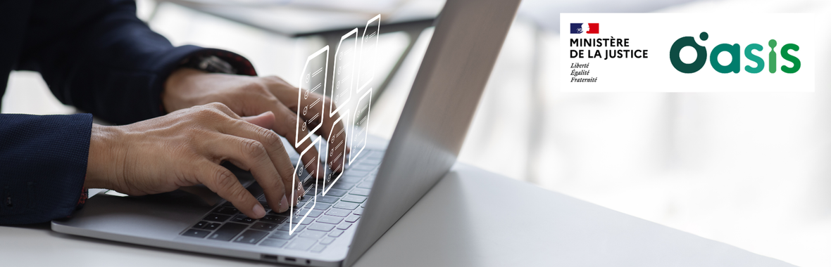 Image bannière de la formation OASIS : L’Outil d’Analyse et de Suivi des Incidents Signalés de la DPJJ 
