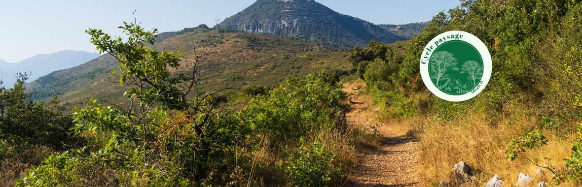 Image bannière de la formation Habiter avec le feu : comment les projets de paysage peuvent renforcer la résilience des territoires 